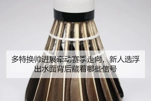 多特换帅进展牵动赛季走向，新人选浮出水面背后藏着哪些信号